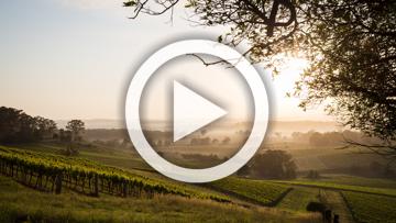 2023 Nissan JUKE ST-L+ F16 Auto 2WD MY23